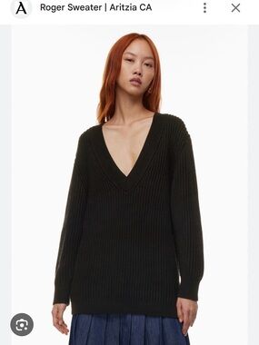 Aritzia | Babaton Roger Sweater
